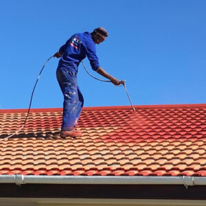 Roof Painting Dubai