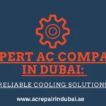 Expert AC Services in Dubai: Reliable Cooling Solutions