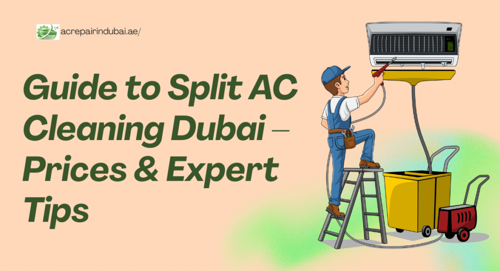 Split AC Cleaning Duba