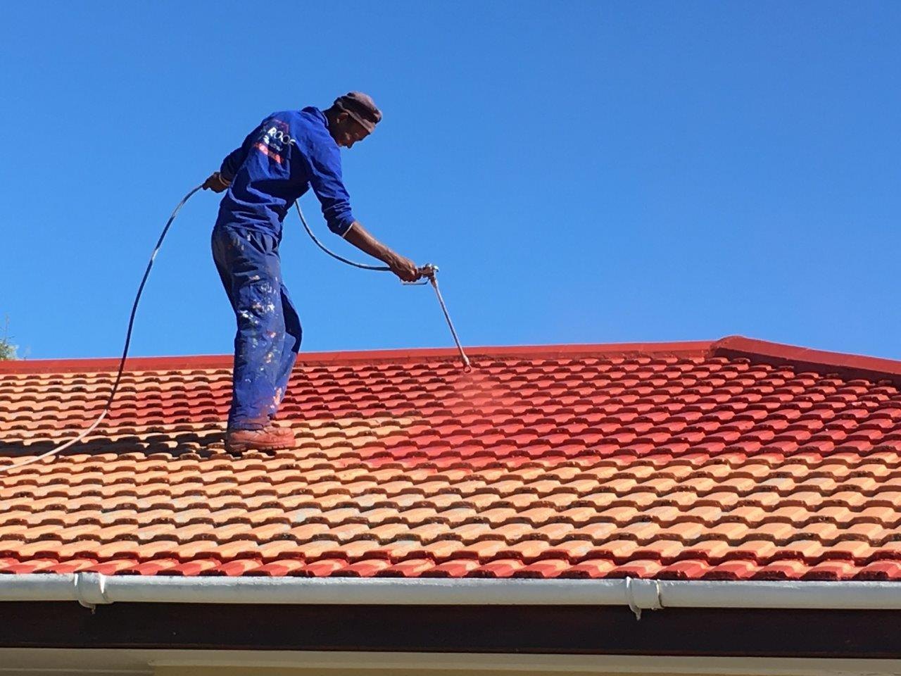 Roof Painting Services