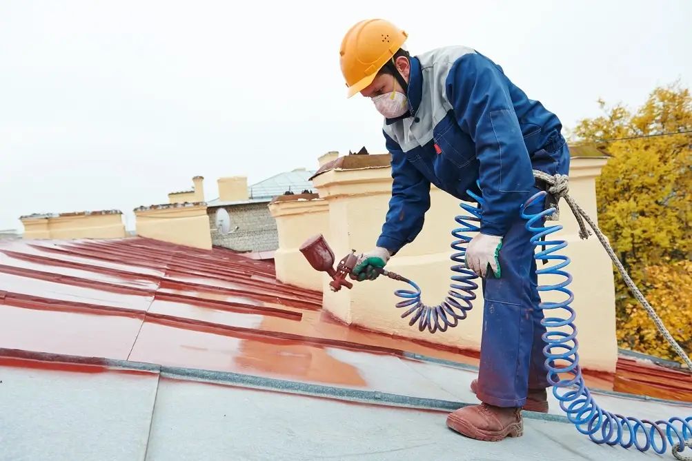 Residential Roof Painting service